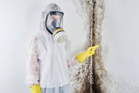 Professional Mold Removal in Edcouch, TX